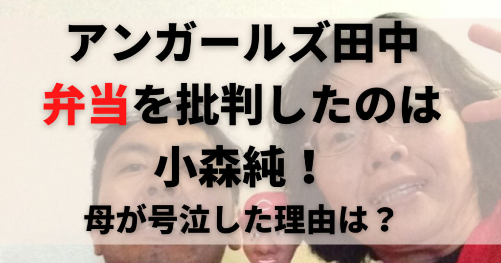 動画 アンガールズ田中の弁当批判は小森純 母が号泣した理由は